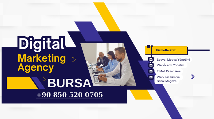 Bursa Web Tasarım ve Seo Firması TurkWeb Online